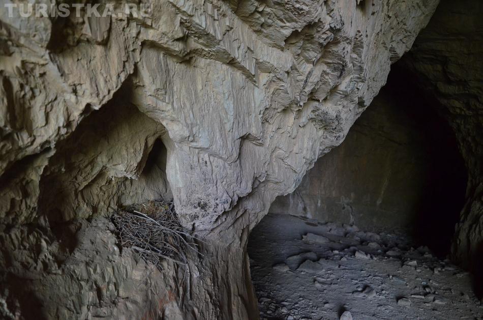 Гнездо около одного из выходов