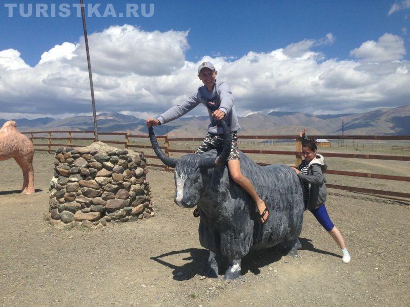 Фотоконкурс 2020 Смехотурики