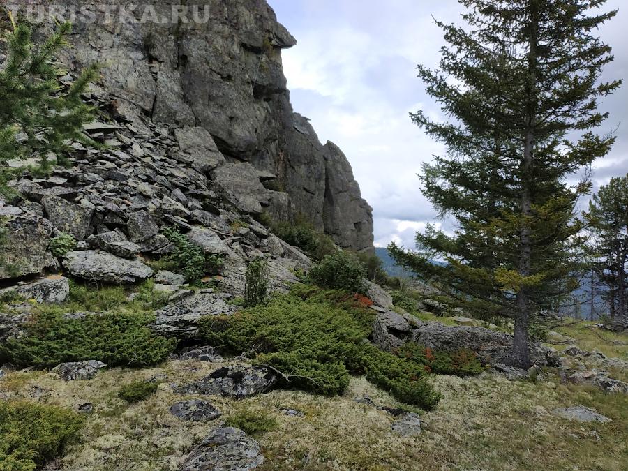 Скалы Ласточкино гнездо 