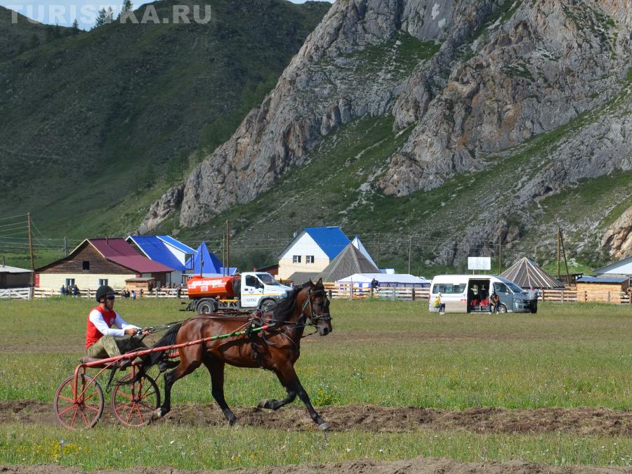 Конные скачки
