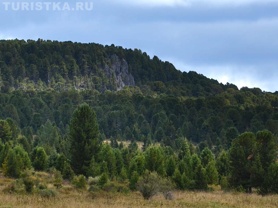 Вид на скалы Ласточкино гнездо