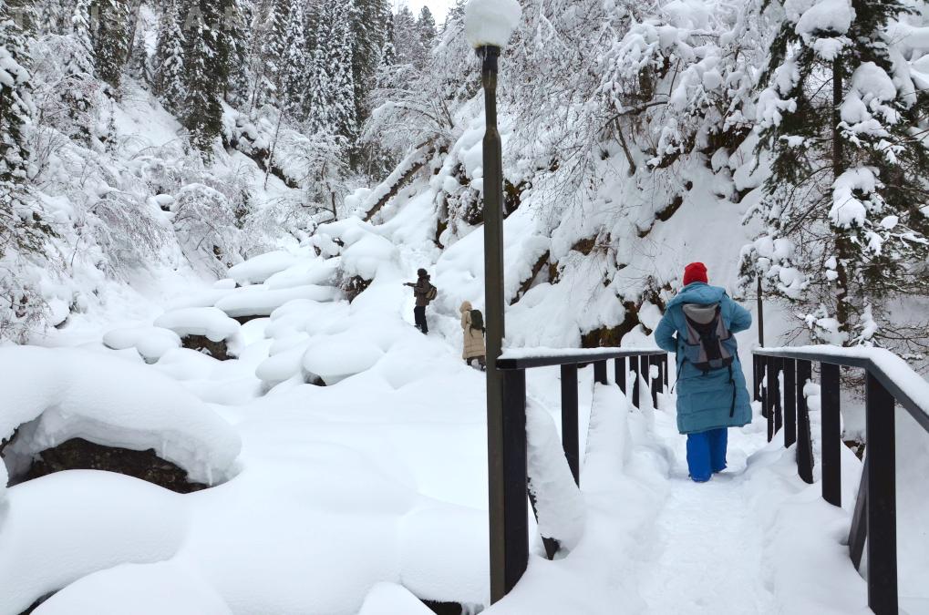 Эко-тропа Третья речка