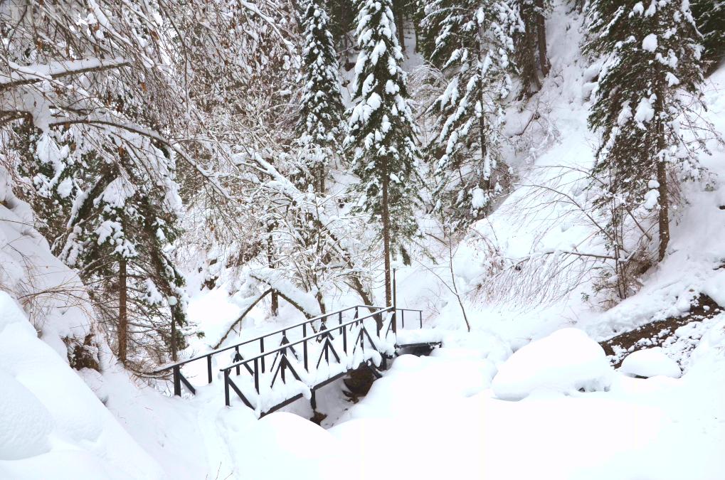 Эко-тропа Третья речка