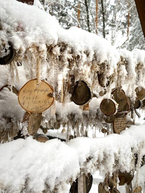Гора Церковка в Белокурихе