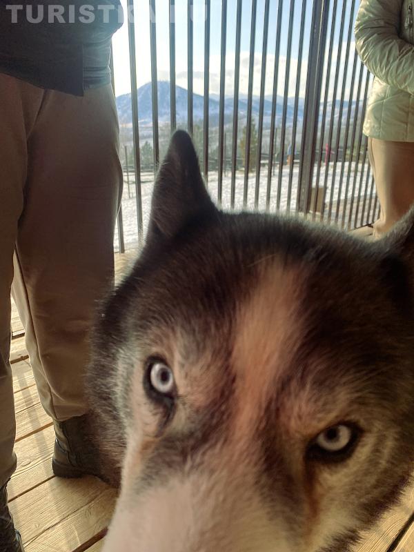 «Вот ты и попался!»