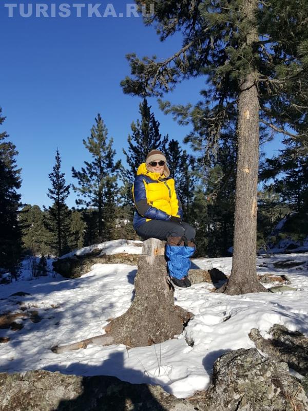 «Не садись на пенек, не ешь пирожок»