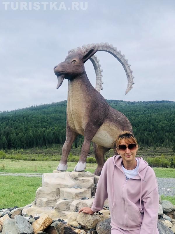 «Встретила очередного козла! Мне везет по жизни на козлов...»