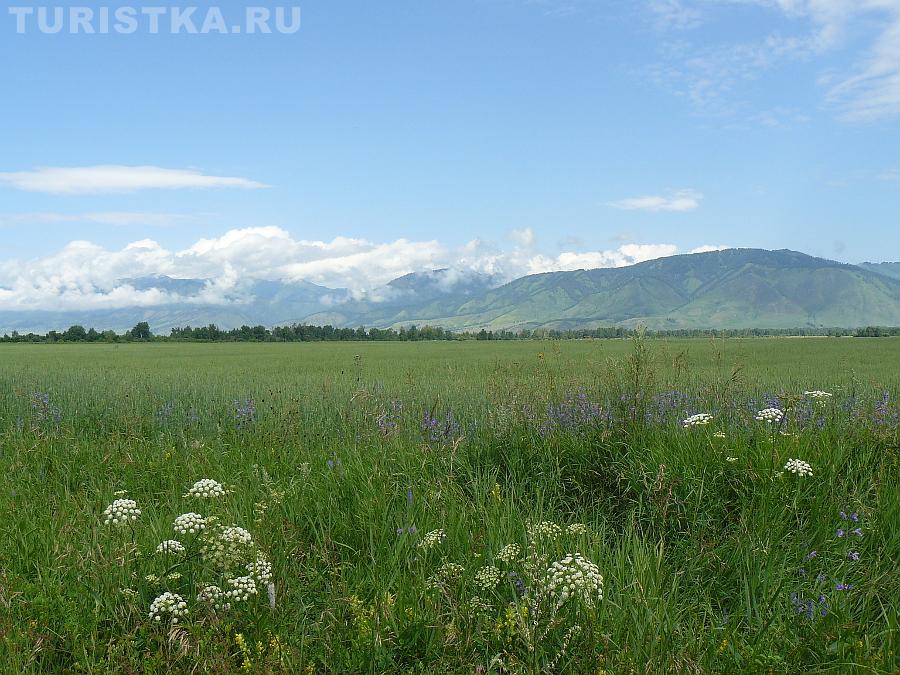 Уймонская долина