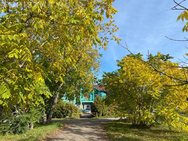 НИИ Лисавенко Барнаул