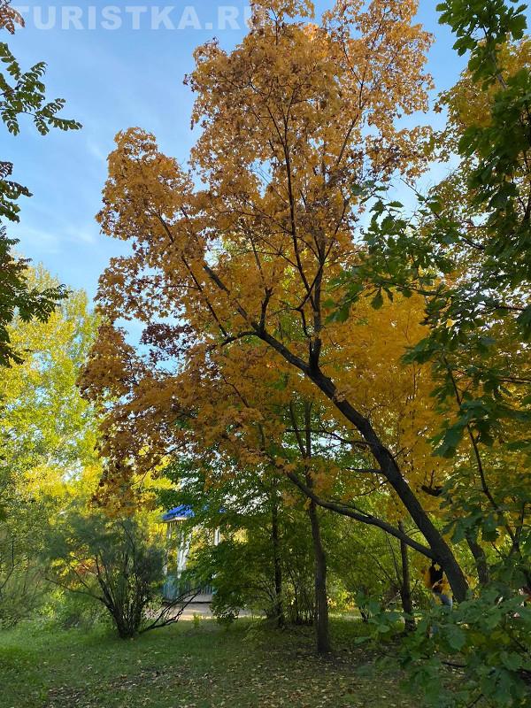 НИИ Лисавенко Барнаул