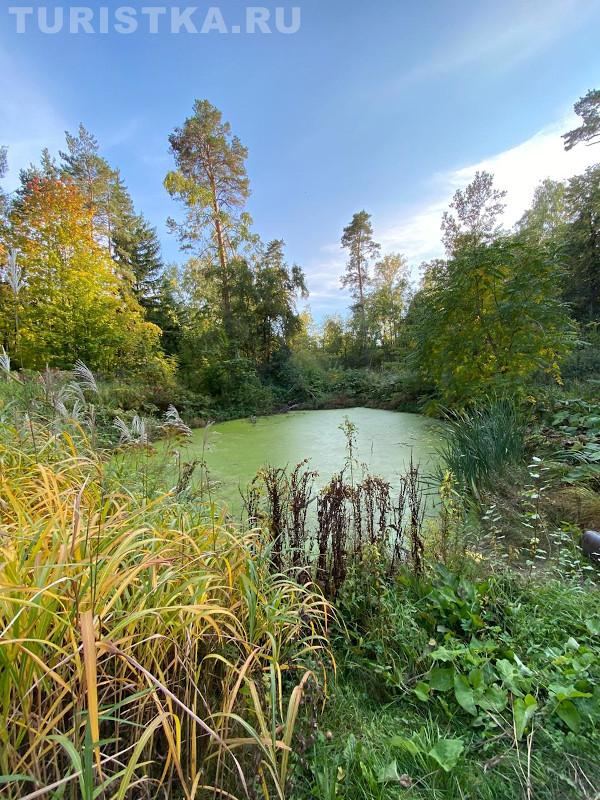 НИИ Лисавенко Барнаул