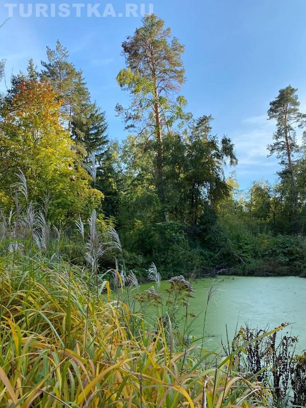 НИИ Лисавенко Барнаул