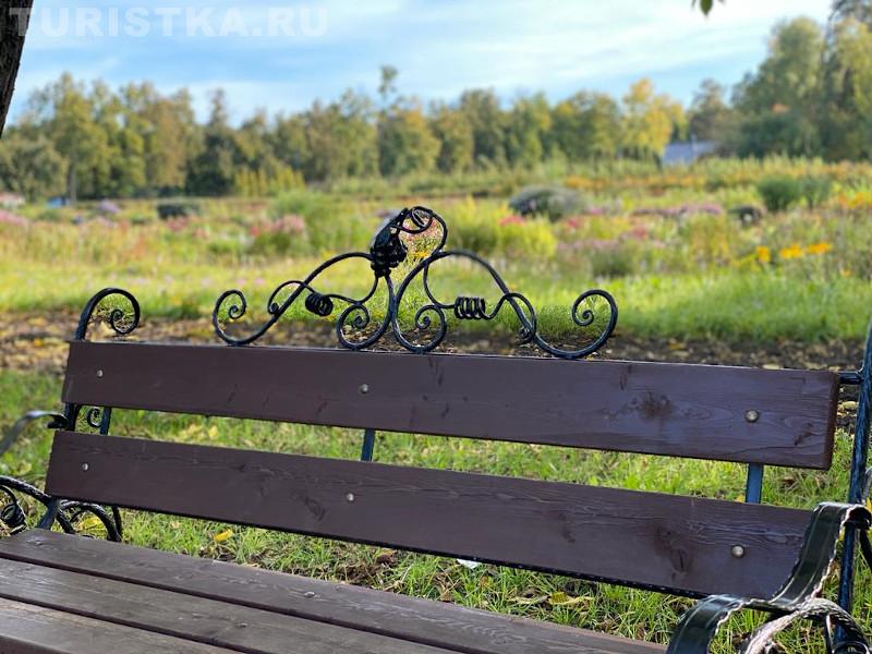 НИИ Лисавенко Барнаул