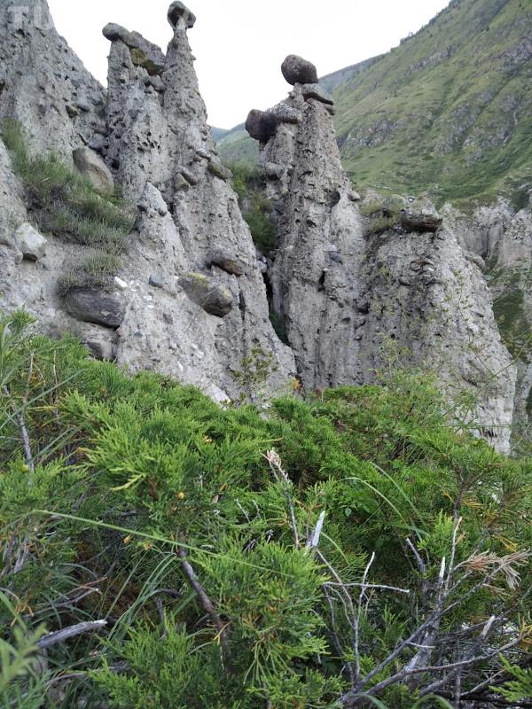 Каменные грибы Алтай автотур