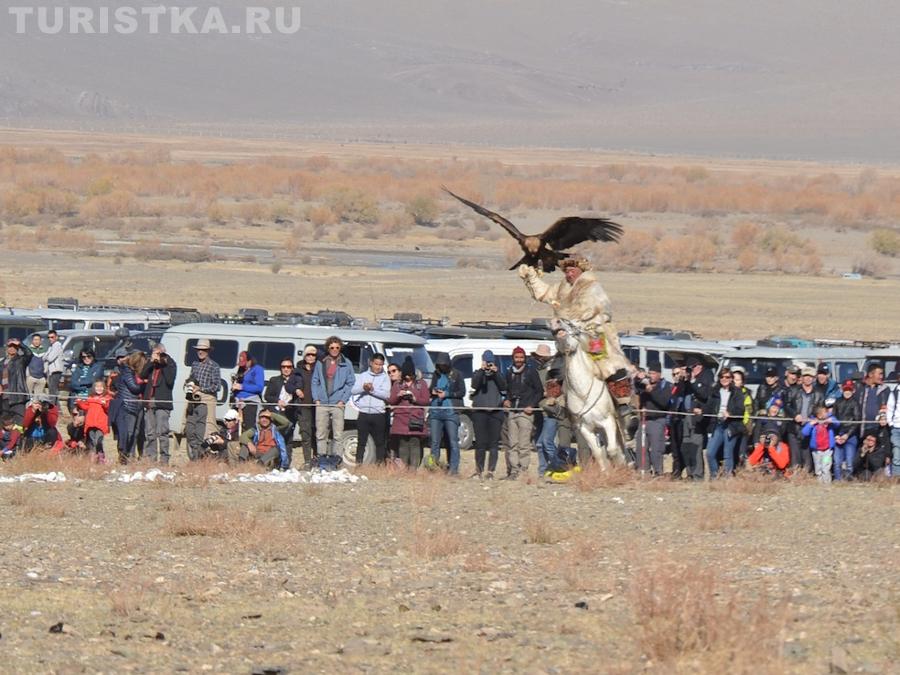 Фестиваль охотников беркутчи в Монголии
