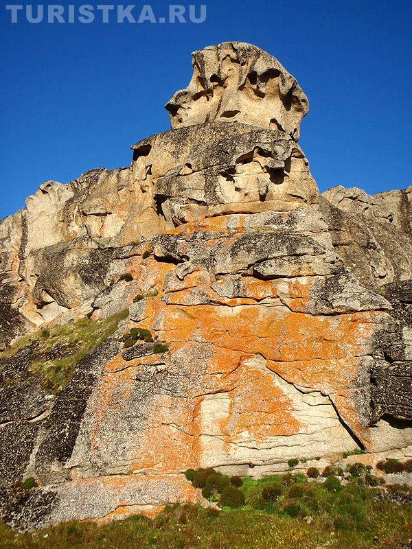 Творения Природы