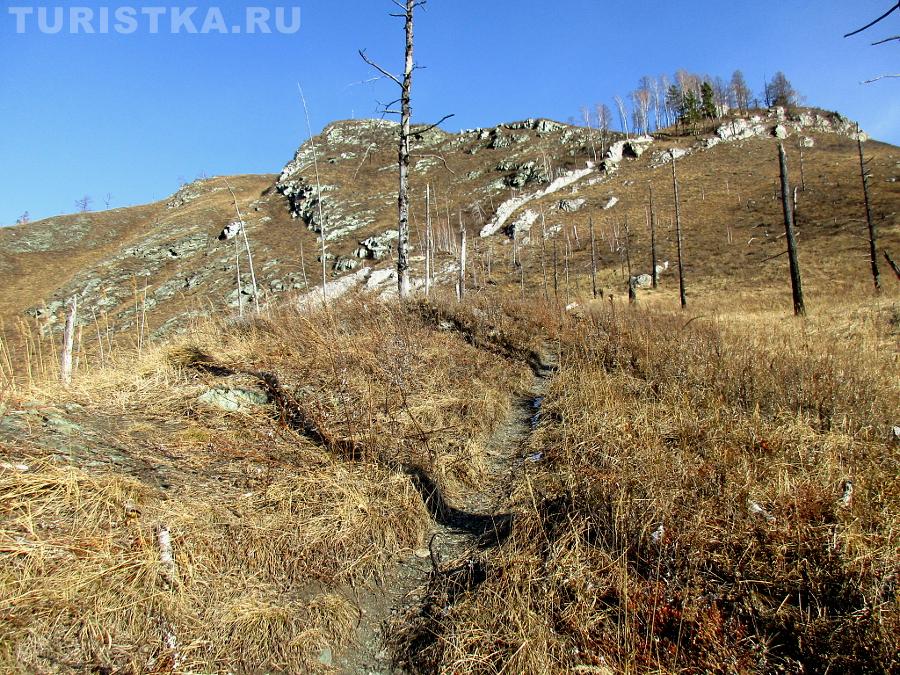Тропинка после первого подъема, впереди и слева - вершина горы Верблюд, справа с березками - обзорная площадка с видом на Катунь