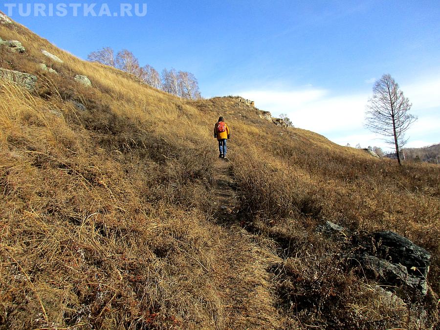 Тропинка к смотровой площадке с березами