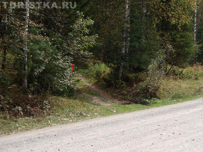 Красная ленточка - указатель, где сворачивать с дороги