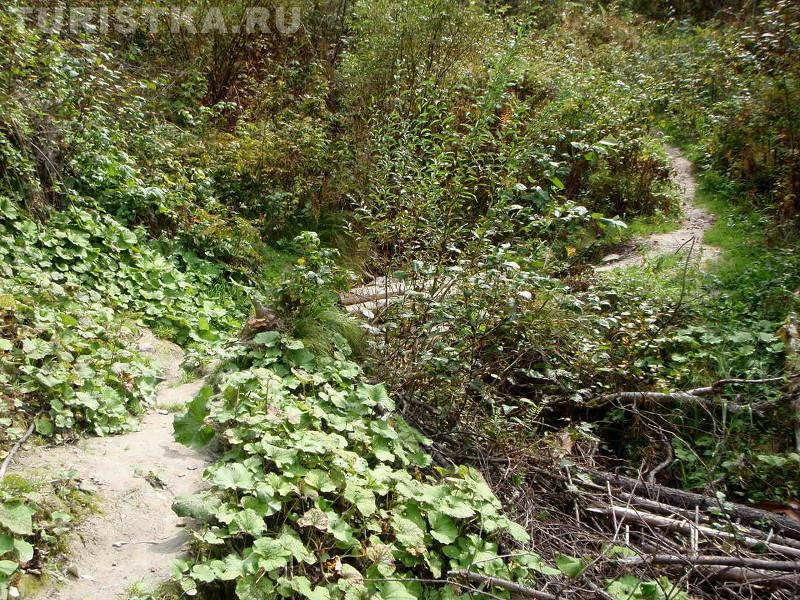 Возвращаемся к дороге