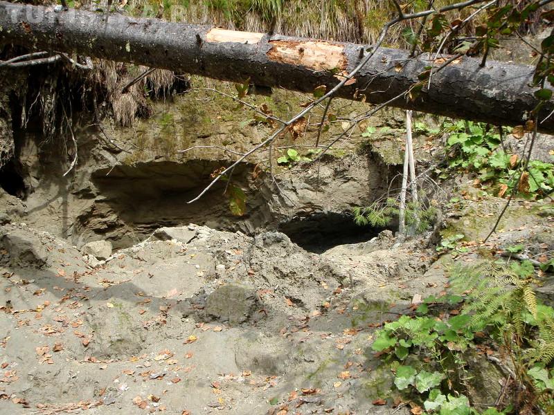 Голубая глина