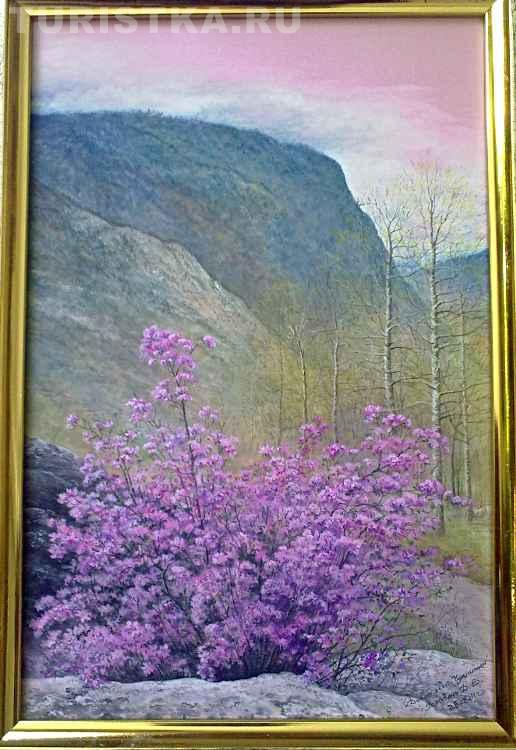 Маральник в долине Чулышмана