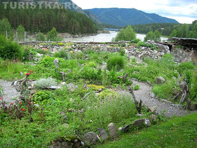 Вид со двора усадьбы на Катунь