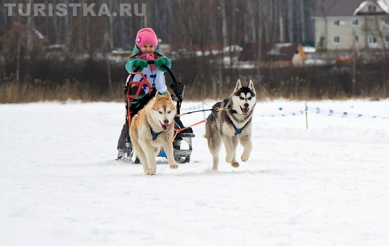 ДЕТСКО-ЮНИОРСКАЯ ГОНКА, СУПЕР-СПРИНТ, ГОНКА НА ВЫБЫВАНИЕ  «АЛТАЙ-JАРЫШ» 