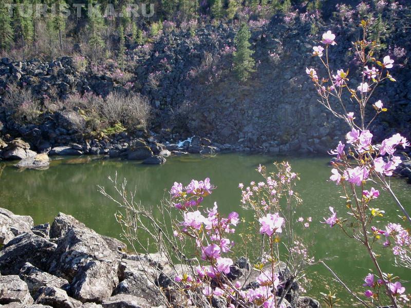 Каменный залив в мае