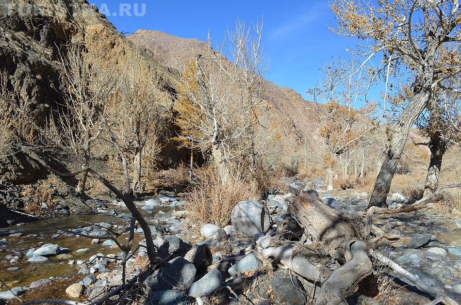 Река Кызыл-Чин