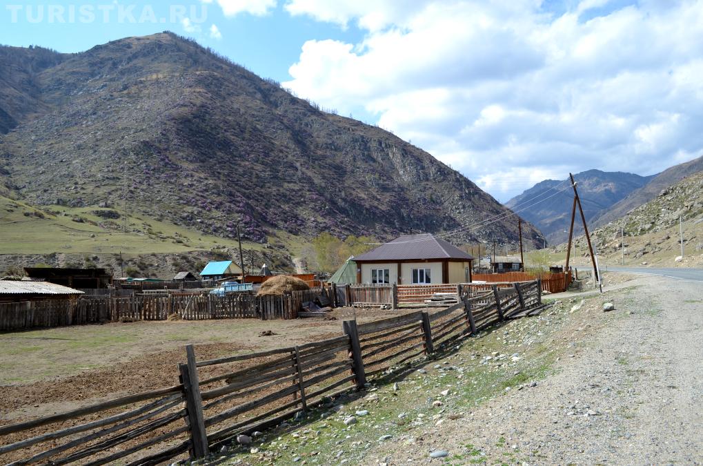 Село Купчегень