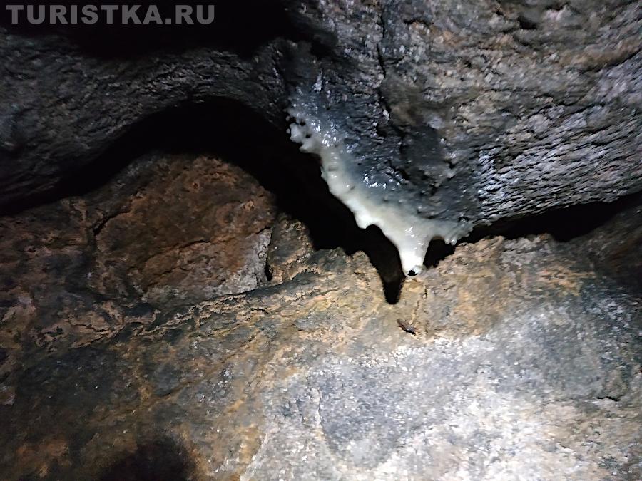 Натечки на стенах пещеры