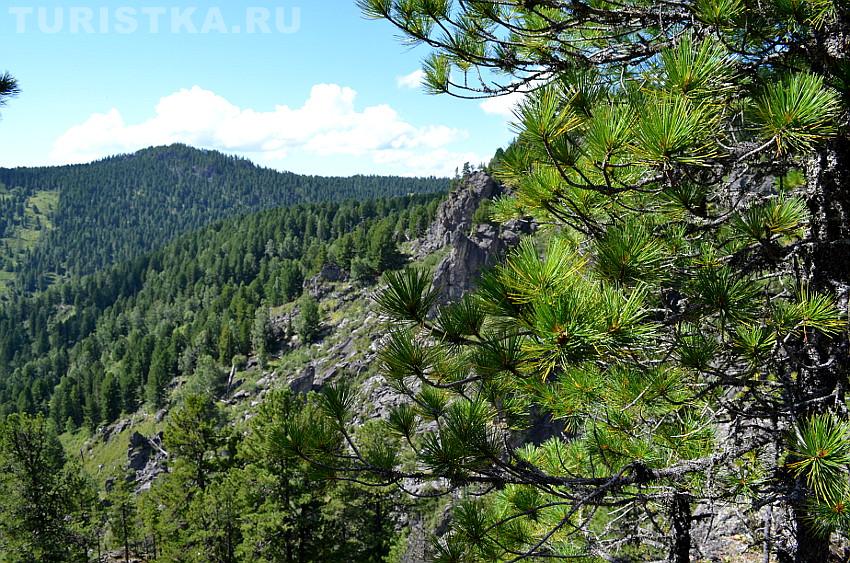 Со смотровой площадки перед водопадом