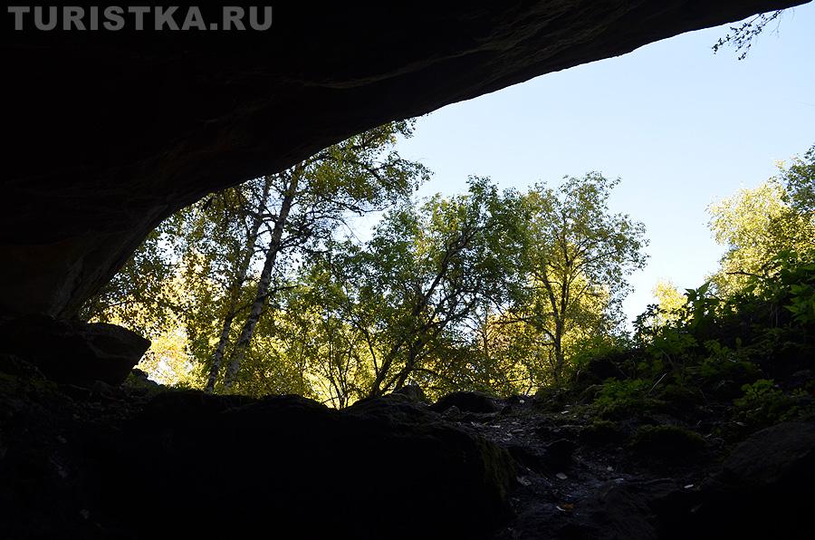 Последний взгляд на поверхность