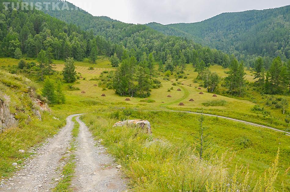 Начало старой дороги на Чике-Таман со стороны Топучия