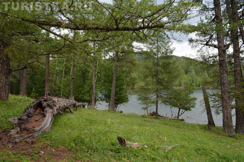 Озеро Арукем парк Уч-Энмек