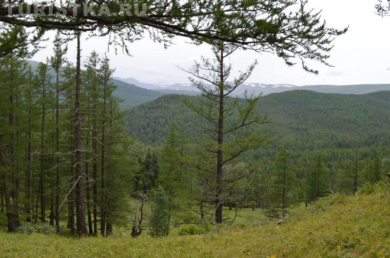 Таежное озеро Алтая 