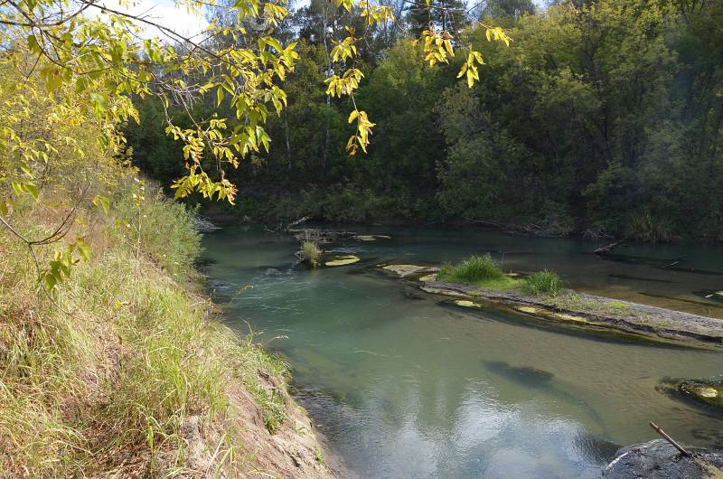 Река Лосиха на Алтае