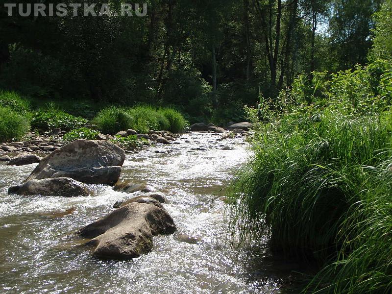 Река Быстрая - приток Песчаной