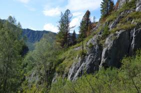 Отдых на Алтае : Чуйский тракт : Белобомская пещера : Горелый лес слева от тропы - ориентир