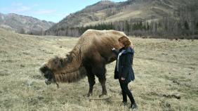 «С виду горд и непреклонен,<br> Он на деле не таков,<br> По натуре он тихоня,<br>И добряк из добряков»<br><br>Место съемки: Чемал