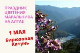 Праздник «Цветение маральника 2021» Бирюзовая Катунь
