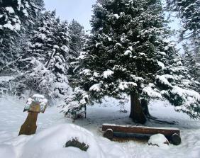 Источники Серебряный источник в Артыбаше