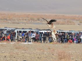 Фестиваль охотников беркутчи в Монголии