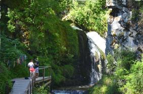 Отдых на Алтае : Телецкое озеро экскурсии к водопадам : Водопад Чедор (Чоодор)