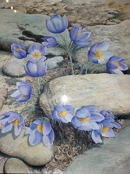 Новосибирск : Выставка Дарьи Головань