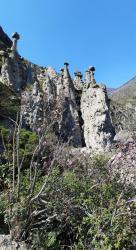 Каменные грибы на Алтае