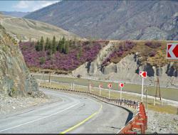 Фестиваль Цветение маральника в Белокурихе