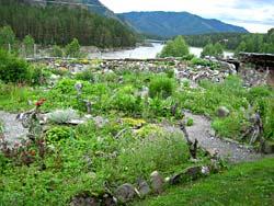 Горный Алтай: Чемальский район : Село Аскат : Выставка семьи Головань : Вид со двора усадьбы на Катунь