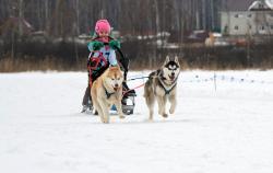ДЕТСКО-ЮНИОРСКАЯ ГОНКА, СУПЕР-СПРИНТ, ГОНКА НА ВЫБЫВАНИЕ  «АЛТАЙ-JАРЫШ» 